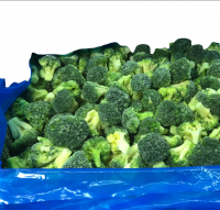 Supply Good Quality Frozen IQF Vegetable Broccoli Hot Sale New Products available