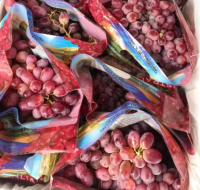 Wholesale Frozen Grape Price Frozen Strawberry