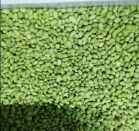 High Quality And Best Selling Bulk Good Taste Frozen Fresh Green Beans