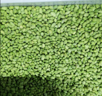 Vietnam New Crop Frozen Whole Green Peas 2023 Wholesale Price