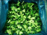 Good Quality Low Price Nutrition health IQF frozen vegetable BRC Certified Fresh Cut green broccoli