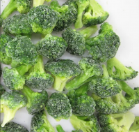 Wholesale High Quality Organic Iqf Frozen Fresh Broccoli