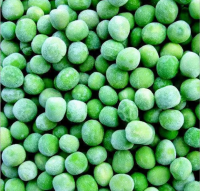 Best selling Peas Natural Vegetable Bulk Frozen Green Peas From Indian manufacturer Export Quality frozen green peas