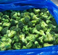 New season congelado brocoli IQF broccoli vegetables frozen broccoli vegetables