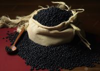 Export High Quality Black Kidney Beans With Factory Price