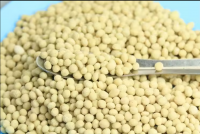 https://ar.tradekey.com/product_view/Agricultural-Grade-100-Water-Soluble-Npk-Fertilizer-20-20-20-10284751.html