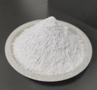 HPMC Cellulose Ether Rheology Modifier Thickening and Water Retention Agent Powder