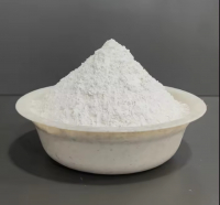 Manufacturer Acrylamide and Acrylic Acid copolymer sodium polyacrylamide