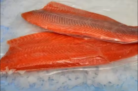 IQF fresh-frozen Coho salmon fish bodies (gutted & headless)/ frozen seafood natural Silversides fish for food