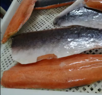 Fresh or Frozen Fillet/Whole Norw Tazman Salmon Fish Packaging Food Packaging