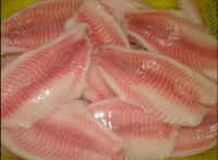 Fresh Frozen Fish Seafood Black Tilapia Fillet