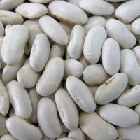 Agricultural crops peanuts Sesame broad beans Fall Fall Mdchoc