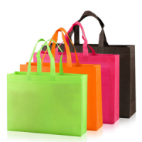 60gsm/70gsm/80gsm Pp Nonwoven Bag/promotion Bag/shopping Bag