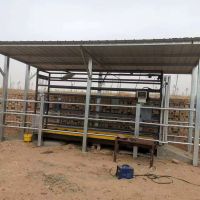 Eid Cattle Weigh Crate
