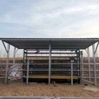 EID Cattle Weigh Crate