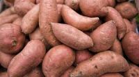 Fresh Sweet Potatoes