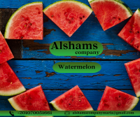 Fresh Watermelon 