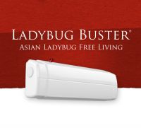 Ladybug Buster