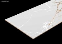 GVT-PGVT Tiles, Ceramic Tiles,