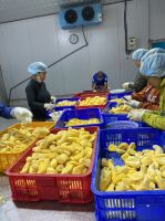 FROZEN JACKFRUIT FROM BLUE LOTUS FARM VIETNAM