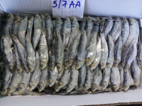 Dried Herring