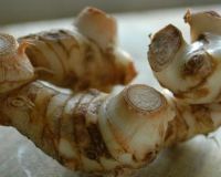 Spices Galangal