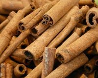 Spices Cinnamon Bark