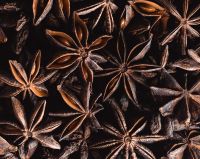 Spices Star Anise