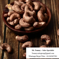 Free Samples Cashew Nuts Roasted with Skin W180 BRC HACCP ISO FREE TAX