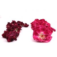Premium Pakistani Rose Flowers - Export Quality Aromatic Blossoms