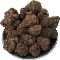 Fresh Truffles Wild Black Truffle +14.2gr Size 3-4cm