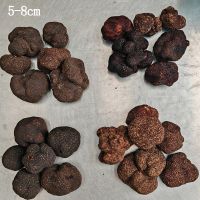 Fresh Truffles Wild Black Truffle +14.2gr Size 3-4cm