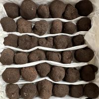 Black Truffles Wild Fresh Truffles +22gr Size 4-5cm