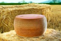 Grana Padano DOP Selezione da Fieno