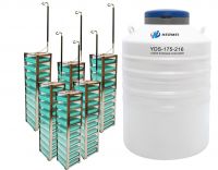Large neck opening liquid nitrogen container for storing 2ml cryovials