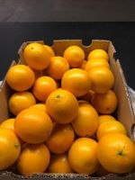 Fresh Oranges, Fresh Valencia Oranges and Navel Oranges High Quality Low Price