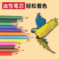 Back To Shool 12 Wood Free Color Pencil,plastic Color Pencil