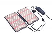 OEM and ODM factory wholesale Full spectrum LED Grow Lights