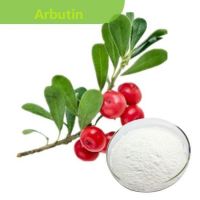 99% arbutin