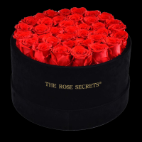 Real Natural Everlasting Immortal Forever  Rose In Box For Wholesale