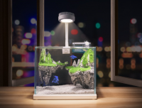 Office Small Fish Tank, Desktop Small Fish Tank, Glass Small Aquarium