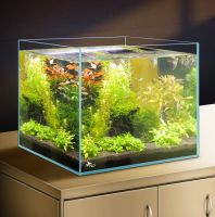 1 Gallon Clear Ultra-low Iron Glass Rimless Cube Aquarium Tank , Reef Tank, 5mm