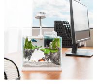 Office Small Fish Tank, Desktop Small Fish Tank, Glass Small Aquarium