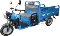 Electric Tricycle - 1.6m Standard Electric Tricycle