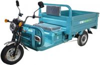 Electric Tricycle - 2 Ton Super Electric Tricycle