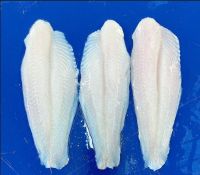 Pangasius fillet 