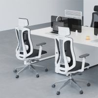 Ergonomic Mesh Office Chair