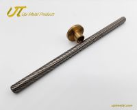 Stainless Steel Lead Screw and Precision Threaded Rod for 3D Printers
