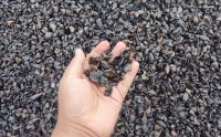 Palm Kernel Shells