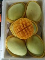 https://jp.tradekey.com/product_view/First-class-Hainan-Golden-Mango-10292252.html